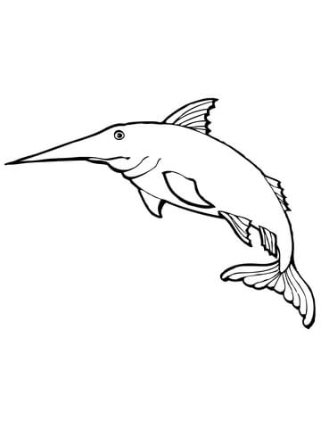 Blue Marlin Coloring Page